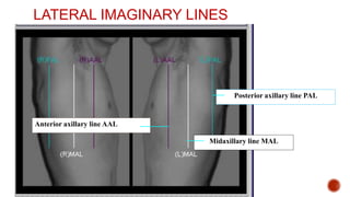 RESPIRATORY EXAMINATION FINA nibL PPT.pptx