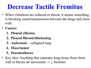 Comprehensive Respiratory System Examination Techniques and Findings | PPTX
