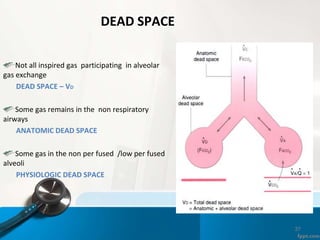 37
DEAD SPACE
Not all inspired gas participating in alveolar
gas exchange
DEAD SPACE – VD
Some gas remains in the non respiratory
airways
ANATOMIC DEAD SPACE
Some gas in the non per fused /low per fused
alveoli
PHYSIOLOGIC DEAD SPACE
 