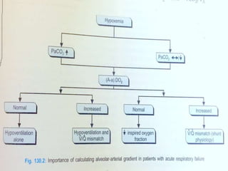 respiratoryfailrefinal-1605121128522.ppt