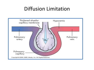 O2 Diffusion Limitation Respiratory failure | PPTX