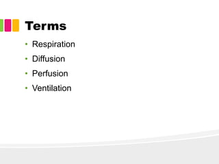 Terms
• Respiration
• Diffusion
• Perfusion
• Ventilation
 