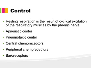 Control
• Resting respiration is the result of cyclical excitation
of the respiratory muscles by the phrenic nerve.
• Apneustic center
• Pneumotaxic center
• Central chemoreceptors
• Peripheral chemoreceptors
• Baroreceptors
 