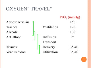 Presentation on Respiratory Failure | Jindal Chest Clinic | PPT