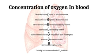 RESPIRATORY physiology and clinical applications | PPTX