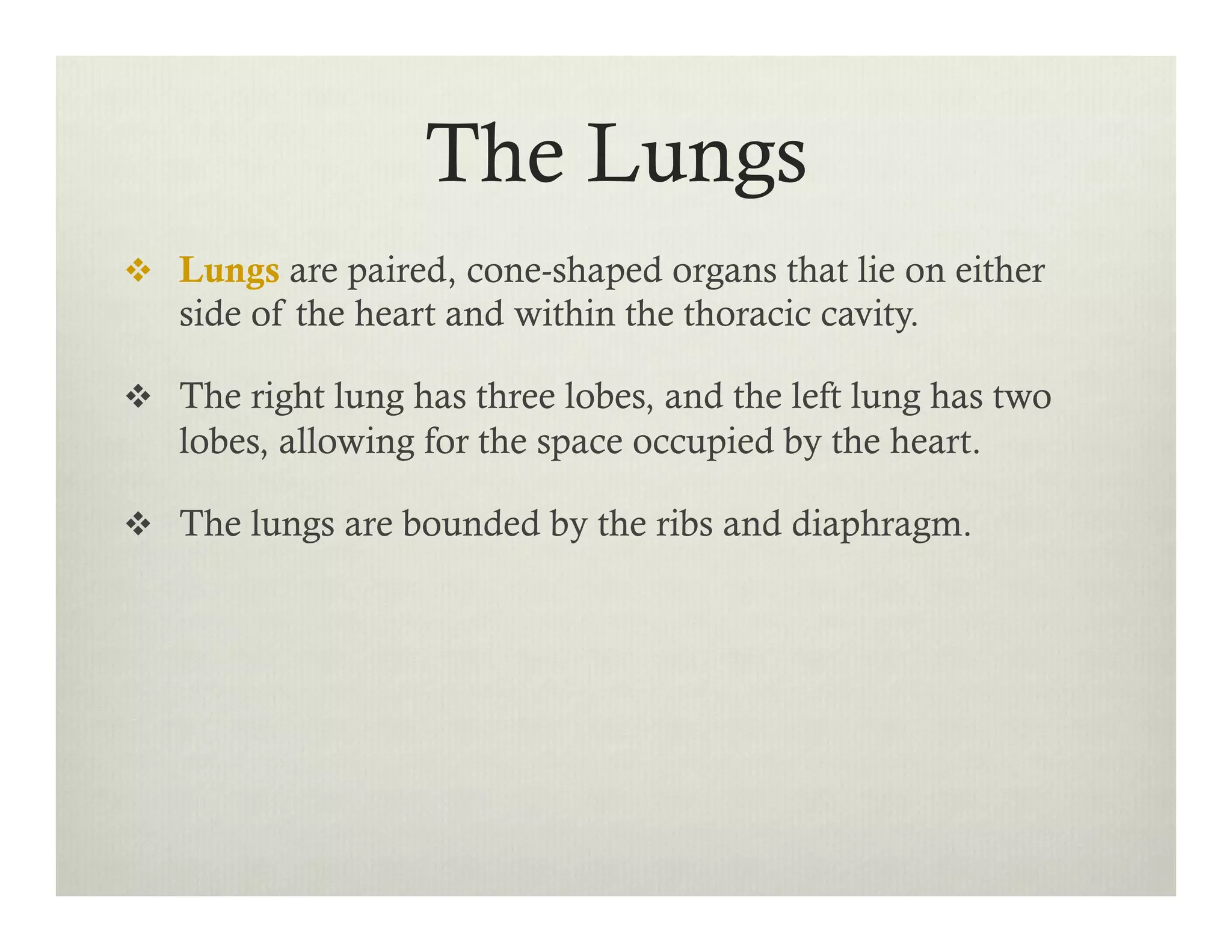 The Lungs
v  Lungs are paired, cone-shaped organs that lie on either
side of the heart and within the thoracic cavity.
v  The right lung has three lobes, and the left lung has two
lobes, allowing for the space occupied by the heart.
v  The lungs are bounded by the ribs and diaphragm.
 