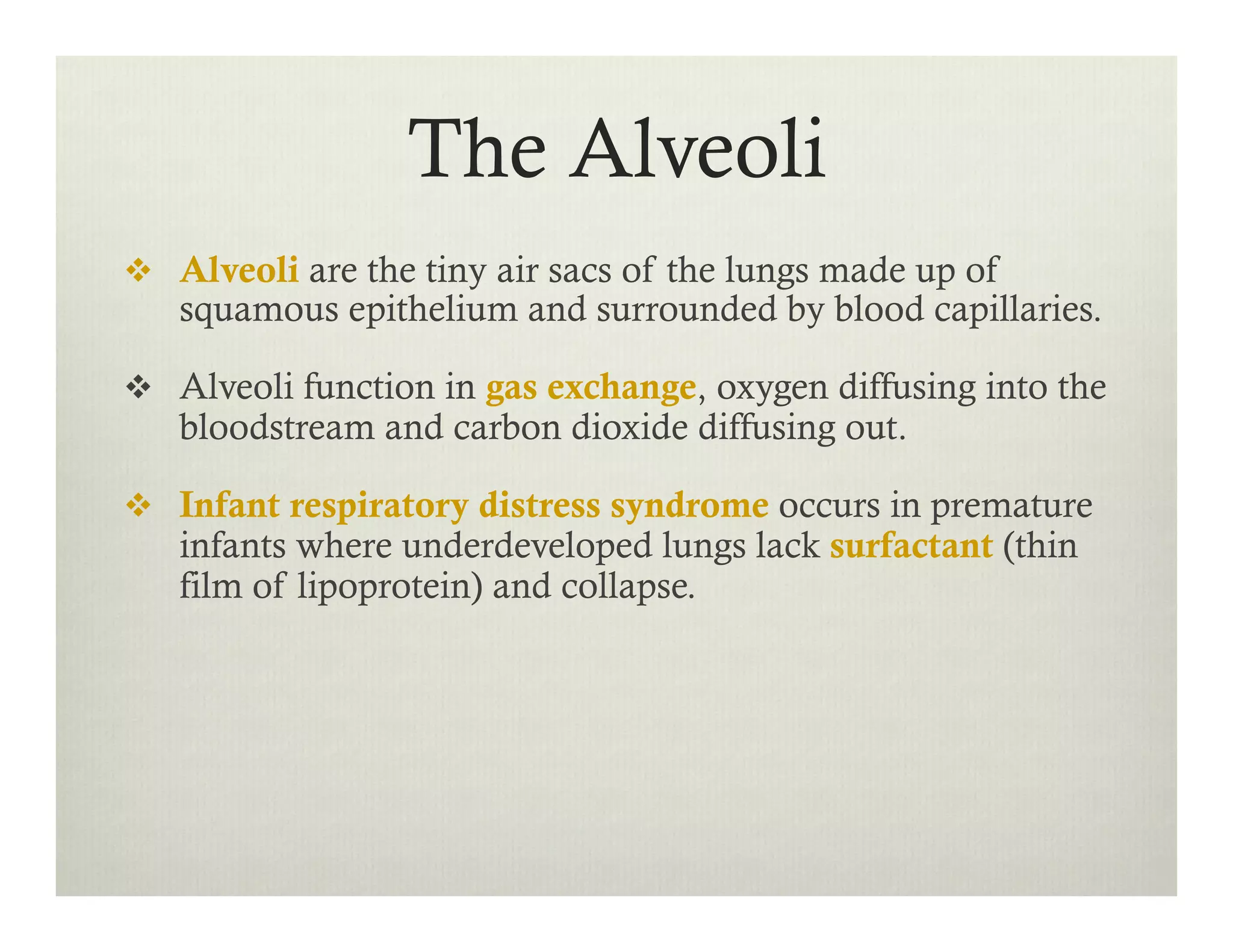The Alveoli
v  Alveoli are the tiny air sacs of the lungs made up of
squamous epithelium and surrounded by blood capillaries.
v  Alveoli function in gas exchange, oxygen diffusing into the
bloodstream and carbon dioxide diffusing out.
v  Infant respiratory distress syndrome occurs in premature
infants where underdeveloped lungs lack surfactant (thin
film of lipoprotein) and collapse.
 