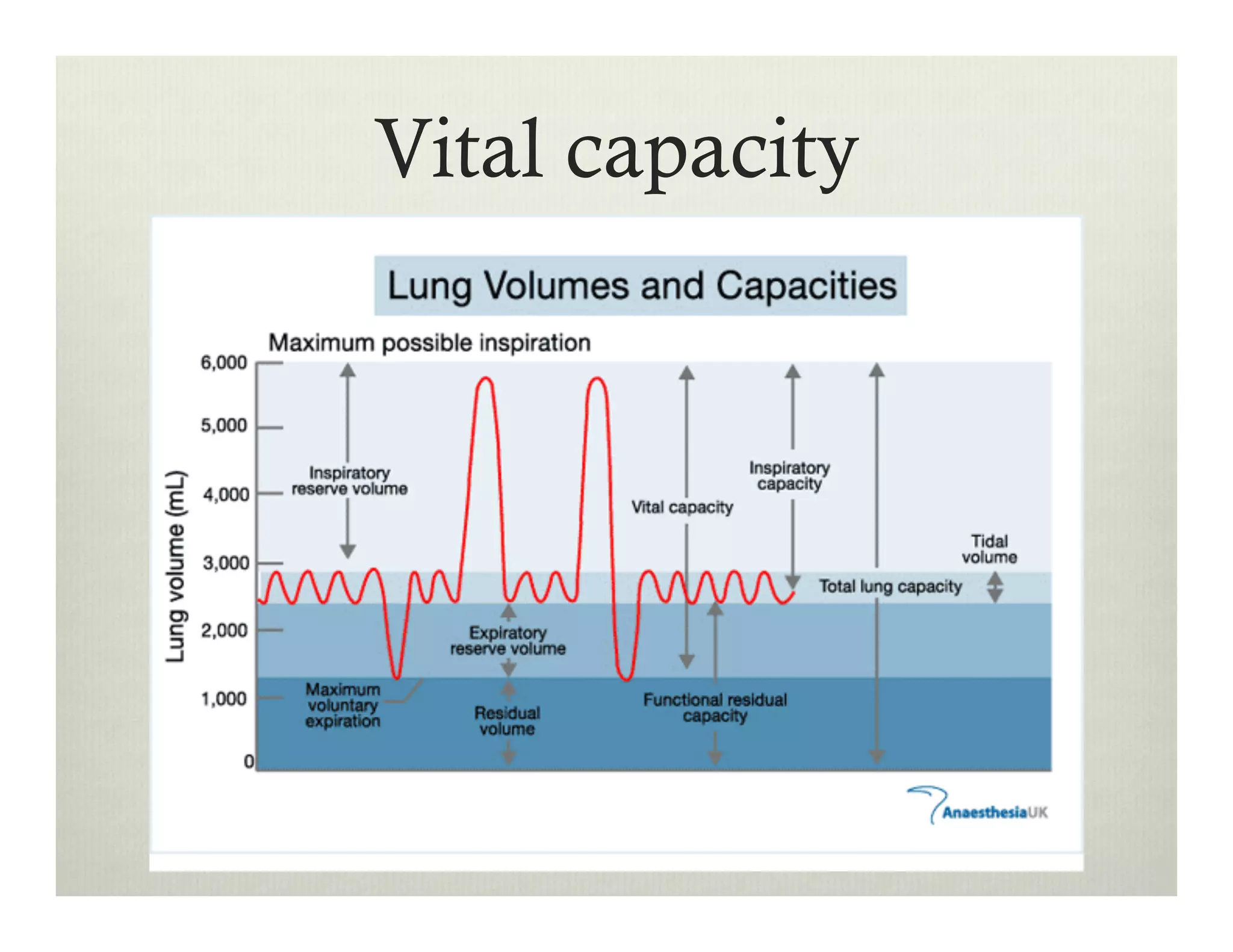 Vital capacity
 
