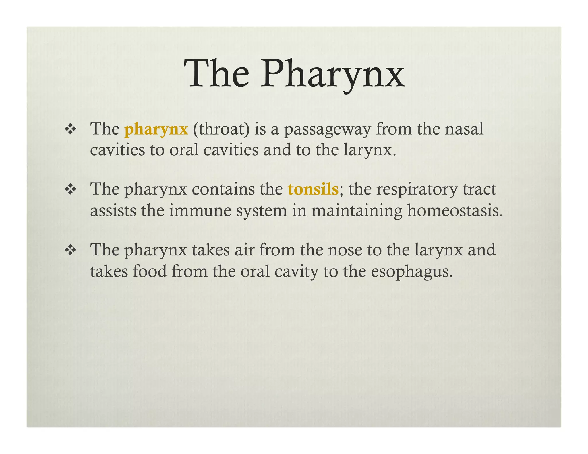 The Pharynx
v  The pharynx (throat) is a passageway from the nasal
cavities to oral cavities and to the larynx.
v  The pharynx contains the tonsils; the respiratory tract
assists the immune system in maintaining homeostasis.
v  The pharynx takes air from the nose to the larynx and
takes food from the oral cavity to the esophagus.
 