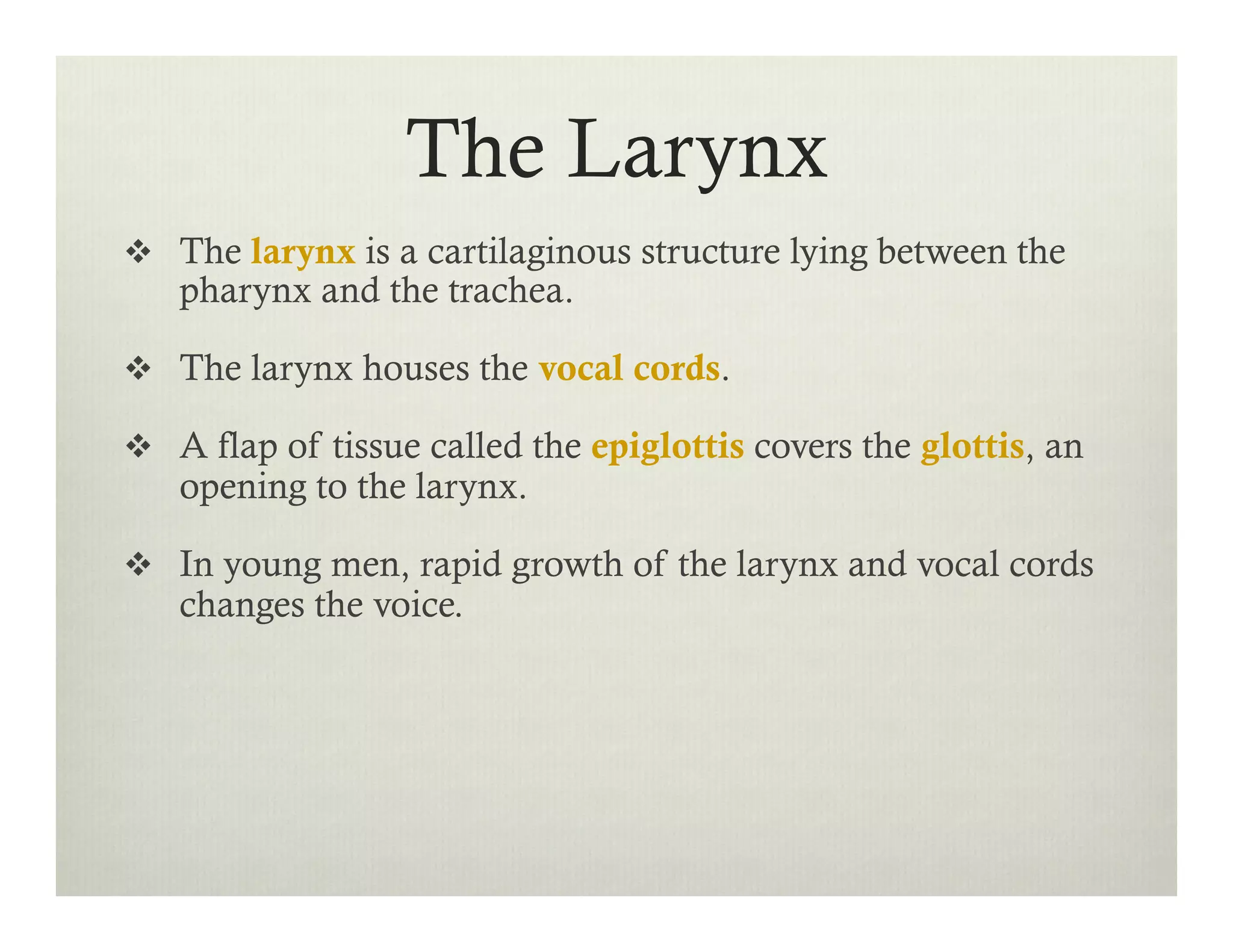 The Larynx
v  The larynx is a cartilaginous structure lying between the
pharynx and the trachea.
v  The larynx houses the vocal cords.
v  A flap of tissue called the epiglottis covers the glottis, an
opening to the larynx.
v  In young men, rapid growth of the larynx and vocal cords
changes the voice.
 