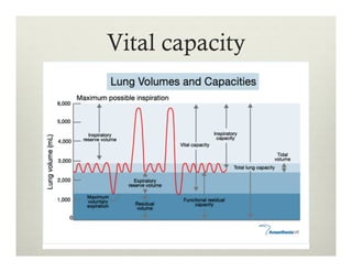 Vital capacity
 