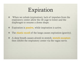 Expiration
v  When we exhale (expiration), lack of impulses from the
respiratory center allow the rib cage to lower and the
diaphragm to resume a dome shape.
v  Expiration is passive, while inspiration is active.
v  The elastic recoil of the lungs causes expiration (gravity).
v  A deep breath causes alveoli to stretch; stretch receptors
then inhibit the respiratory center via the vagus nerve.
 