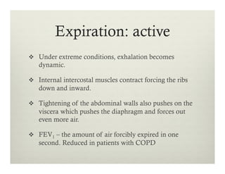 Expiration: active
v  Under extreme conditions, exhalation becomes
dynamic.
v  Internal intercostal muscles contract forcing the ribs
down and inward.
v  Tightening of the abdominal walls also pushes on the
viscera which pushes the diaphragm and forces out
even more air.
v  FEV1 – the amount of air forcibly expired in one
second. Reduced in patients with COPD
 