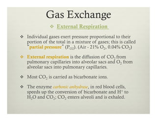 v  External Respiration
v  Individual gases exert pressure proportional to their
portion of the total in a mixture of gases; this is called
“partial pressure” (PO2). (Air - 21% O2, 0.04% CO2)
v  External respiration is the diffusion of CO2 from
pulmonary capillaries into alveolar sacs and O2 from
alveolar sacs into pulmonary capillaries.
v  Most CO2 is carried as bicarbonate ions.
v  The enzyme carbonic anhydrase, in red blood cells,
speeds up the conversion of bicarbonate and H+ to
H2O and CO2; CO2 enters alveoli and is exhaled.
Gas Exchange
 