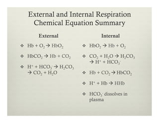 External and Internal Respiration
External
v  Hb + O2 à HbO2
v  HbCO2 à Hb + CO2
v  H+ + HCO3
- à H2CO3
à CO2 + H2O
Internal
v  HbO2 à Hb + O2
v  CO2 + H2O à H2CO3
à H+ + HCO3
-
v  Hb + CO2 à HbCO2
v  H+ + Hb à HHb
v  HCO3
- dissolves in
plasma
Chemical Equation Summary
 