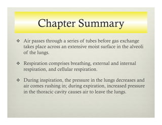 Chapter Summary
v  Air passes through a series of tubes before gas exchange
takes place across an extensive moist surface in the alveoli
of the lungs.
v  Respiration comprises breathing, external and internal
respiration, and cellular respiration.
v  During inspiration, the pressure in the lungs decreases and
air comes rushing in; during expiration, increased pressure
in the thoracic cavity causes air to leave the lungs.
 