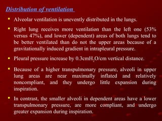 Distribution of ventilation
 Alveolar ventilation is unevently distributed in the lungs.
 Right lung receives more ventilation than the left one (53%
versus 47%), and lower (dependent) areas of both lungs tend to
be better ventilated than do not the upper areas because of a
gravitationally induced gradient in intrapleural pressure.
 Pleural pressure increase by 0.3cmH2O/cm vertical distance.
 Because of a higher transpulmonary pressure, alveoli in upper
lung areas are near maximally inflated and relatively
noncompliant, and they undergo little expansion during
inspiration.
 In contrast, the smaller alveoli in dependent areas have a lower
transpulmonary pressure, are more compliant, and undergo
greater expansion during inspiration.

 