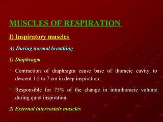 MUSCLES OF RESPIRATION
I) Inspiratory muscles
A) During normal breathing
1) Diaphragm
 Contraction of diaphragm cause base of thoracic cavity to
descent 1.5 to 7 cm in deep inspiration.
 Responsible for 75% of the change in intrathoracic volume
during quiet inspiration.
2) External intercostals muscles

 
