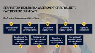 Respiratory Health Risk Assessment(1) (2).pdf