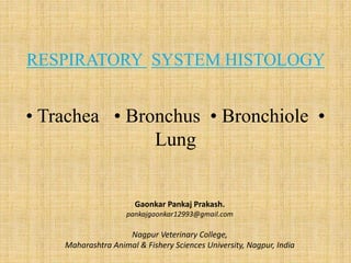 RESPIRATORY SYSTEM HISTOLOGY
• Trachea • Bronchus • Bronchiole •
Lung
Gaonkar Pankaj Prakash.
pankajgaonkar12993@gmail.com
Nagpur Veterinary College,
Maharashtra Animal & Fishery Sciences University, Nagpur, India
 