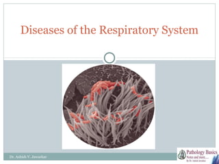 Diseases of the Respiratory System

Dr. Ashish V. Jawarkar

 
