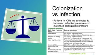 Colonization Vs Transient Respiratory infections in ICU setting: diagnostic and therapeutic ...