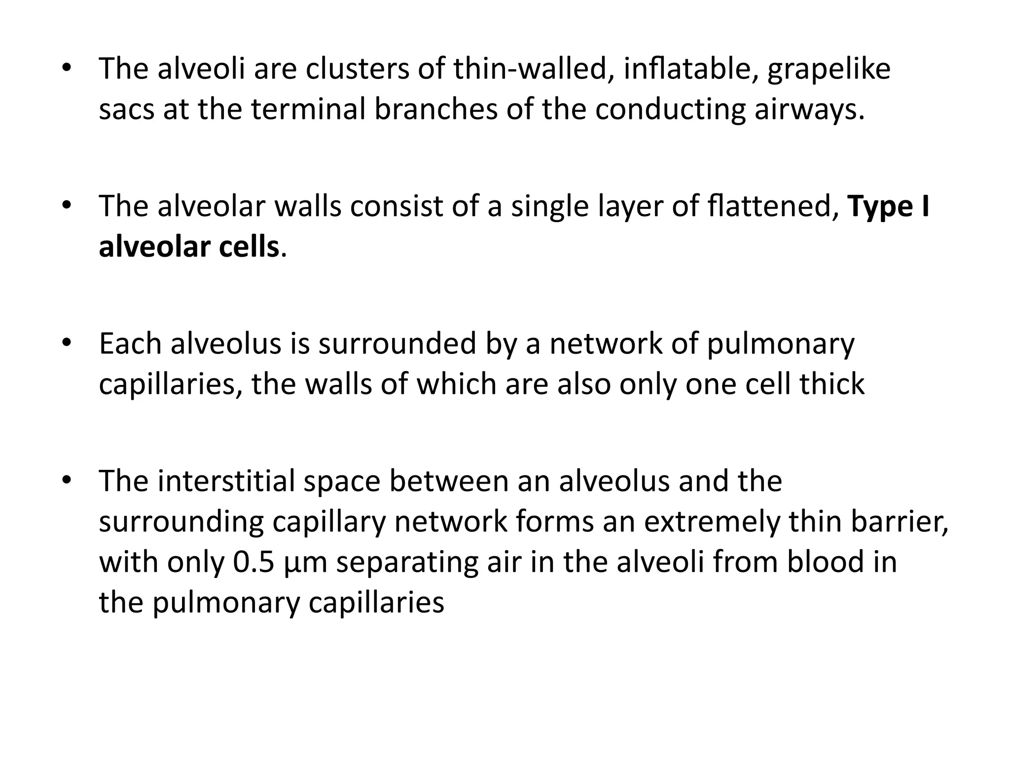 Respiratory tract introduction | PPT