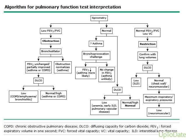 Respiratory lecture Respiratory lecture