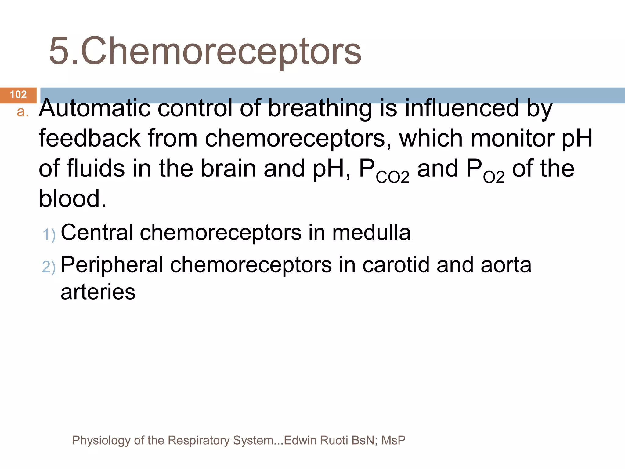 5.Chemoreceptors
a. Automatic control of breathing is influenced by
feedback from chemoreceptors, which monitor pH
of fluids in the brain and pH, PCO2 and PO2 of the
blood.
1) Central chemoreceptors in medulla
2) Peripheral chemoreceptors in carotid and aorta
arteries
102
Physiology of the Respiratory System...Edwin Ruoti BsN; MsP
 