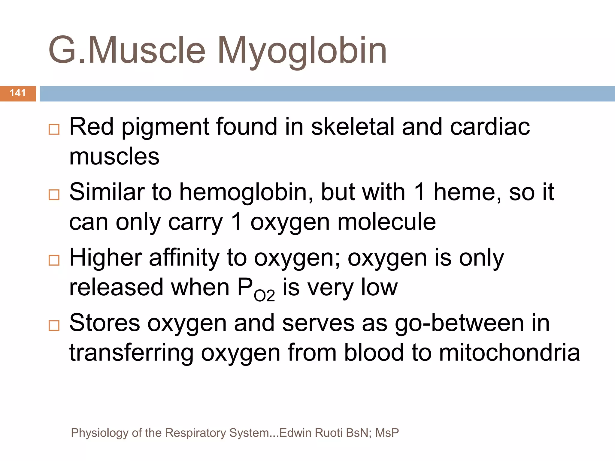 G.Muscle Myoglobin
 Red pigment found in skeletal and cardiac
muscles
 Similar to hemoglobin, but with 1 heme, so it
can only carry 1 oxygen molecule
 Higher affinity to oxygen; oxygen is only
released when PO2 is very low
 Stores oxygen and serves as go-between in
transferring oxygen from blood to mitochondria
141
Physiology of the Respiratory System...Edwin Ruoti BsN; MsP
 