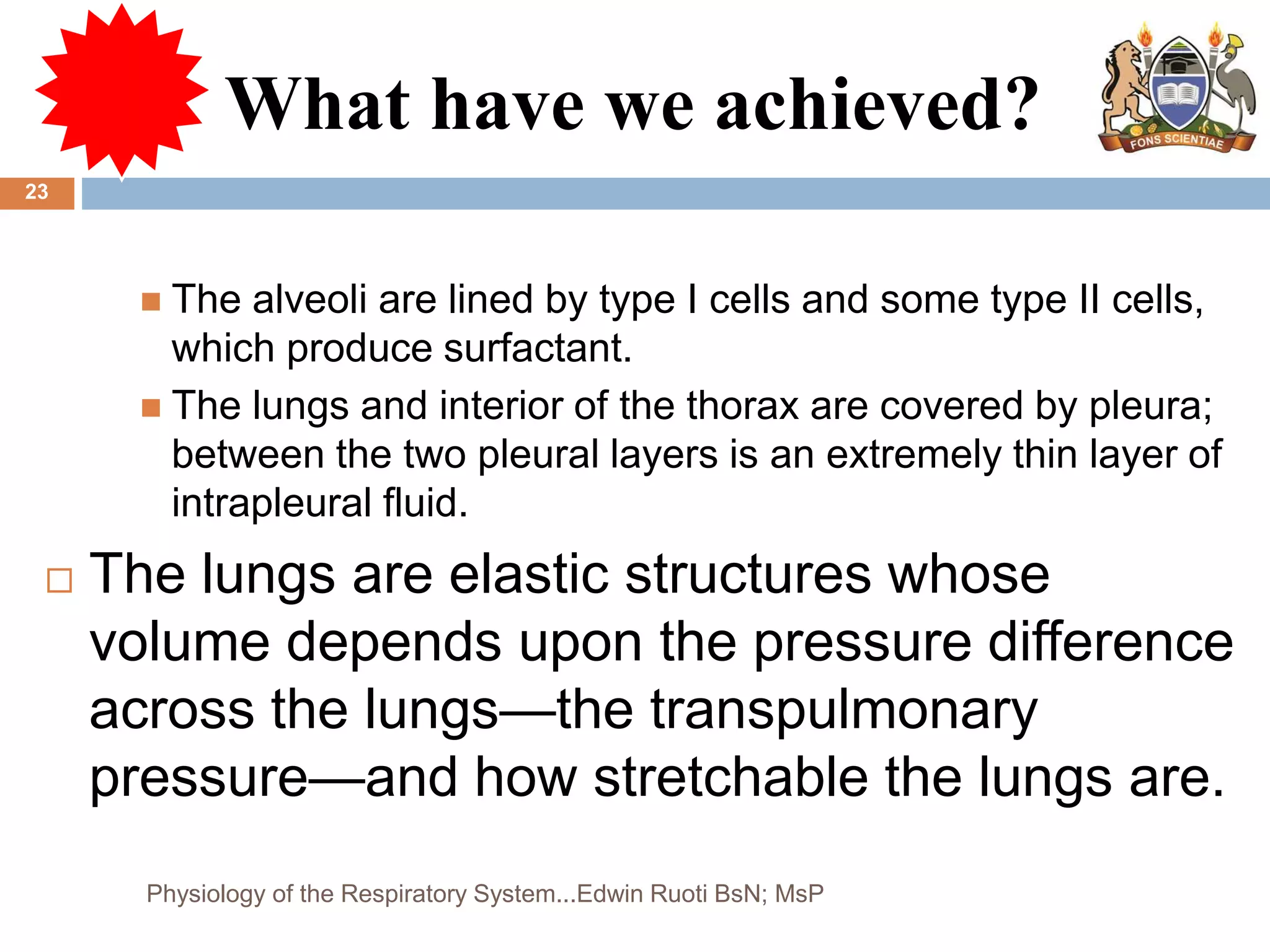What have we achieved?
 The alveoli are lined by type I cells and some type II cells,
which produce surfactant.
 The lungs and interior of the thorax are covered by pleura;
between the two pleural layers is an extremely thin layer of
intrapleural fluid.
 The lungs are elastic structures whose
volume depends upon the pressure difference
across the lungs—the transpulmonary
pressure—and how stretchable the lungs are.
23
Physiology of the Respiratory System...Edwin Ruoti BsN; MsP
 