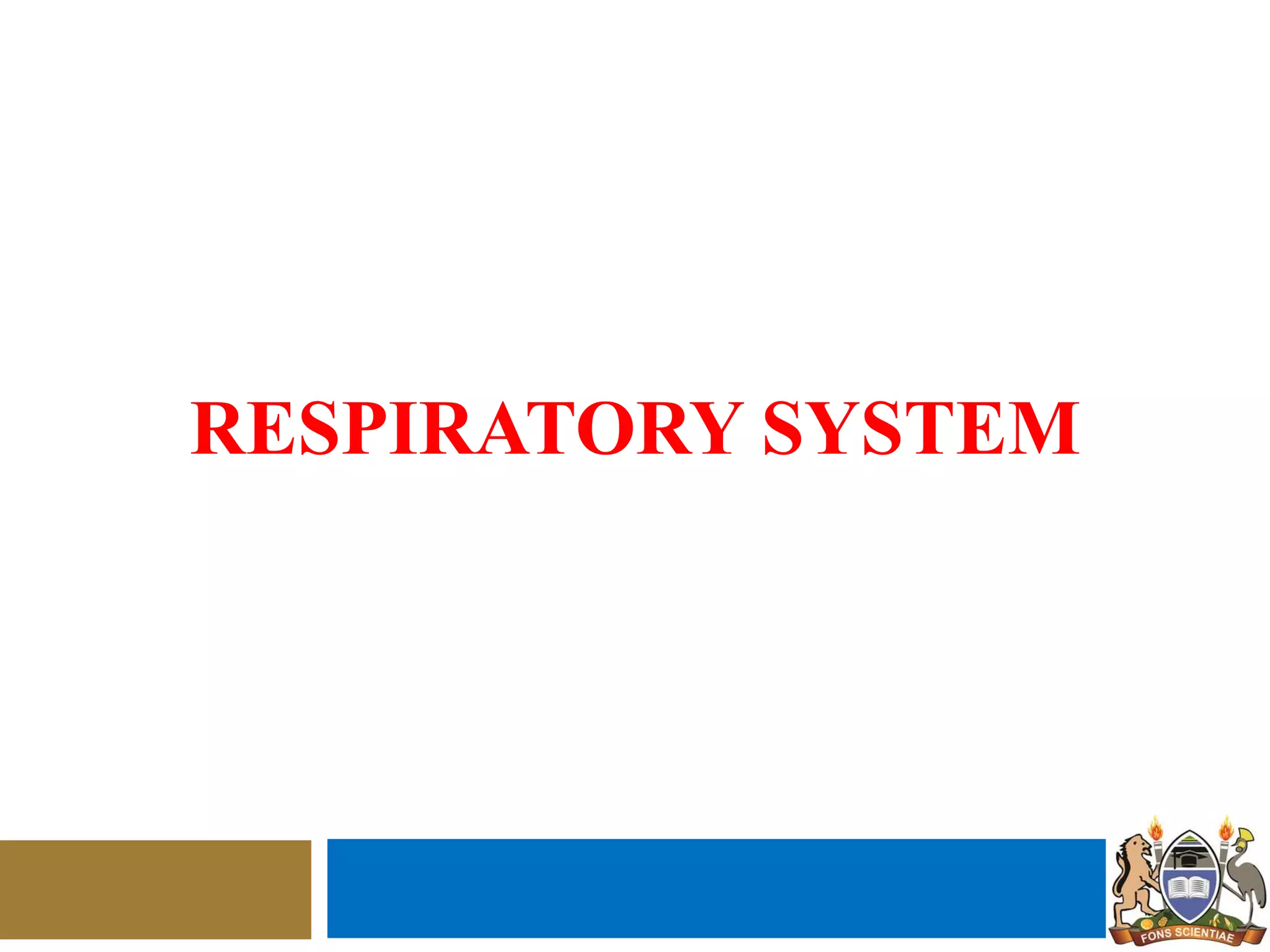 RESPIRATORY SYSTEM
 