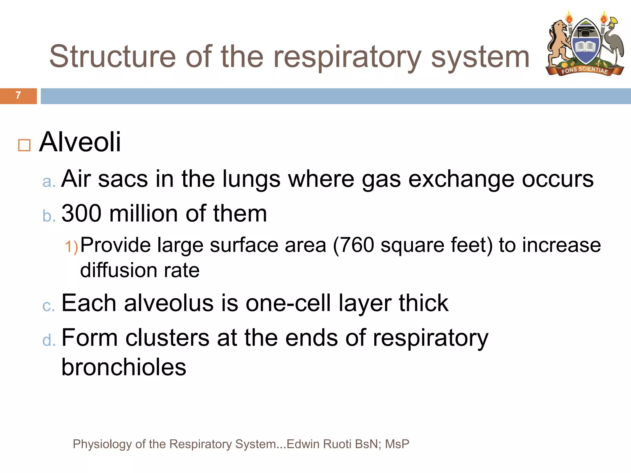 Structure of the respiratory system
7
 Alveoli
a. Air sacs in the lungs where gas exchange occurs
b. 300 million of them
1)Provide large surface area (760 square feet) to increase
diffusion rate
c. Each alveolus is one-cell layer thick
d. Form clusters at the ends of respiratory
bronchioles
Physiology of the Respiratory System...Edwin Ruoti BsN; MsP
 