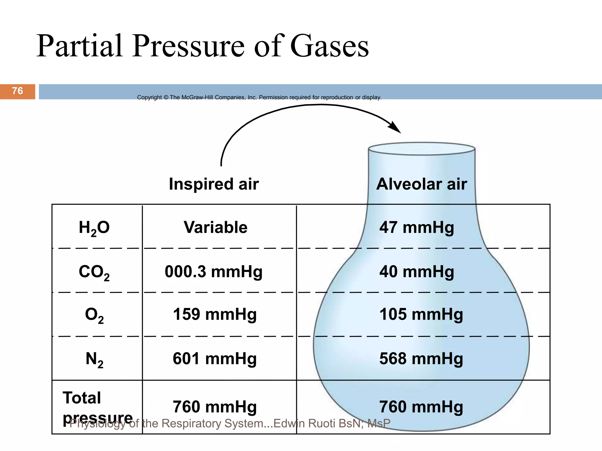 Partial Pressure of Gases
Copyright © The McGraw-Hill Companies, Inc. Permission required for reproduction or display.
O2
N2
H2O
CO2
Total
pressure
Inspired air
Variable
000.3 mmHg
159 mmHg
601 mmHg
760 mmHg 760 mmHg
568 mmHg
105 mmHg
40 mmHg
47 mmHg
Alveolar air
76
Physiology of the Respiratory System...Edwin Ruoti BsN; MsP
 