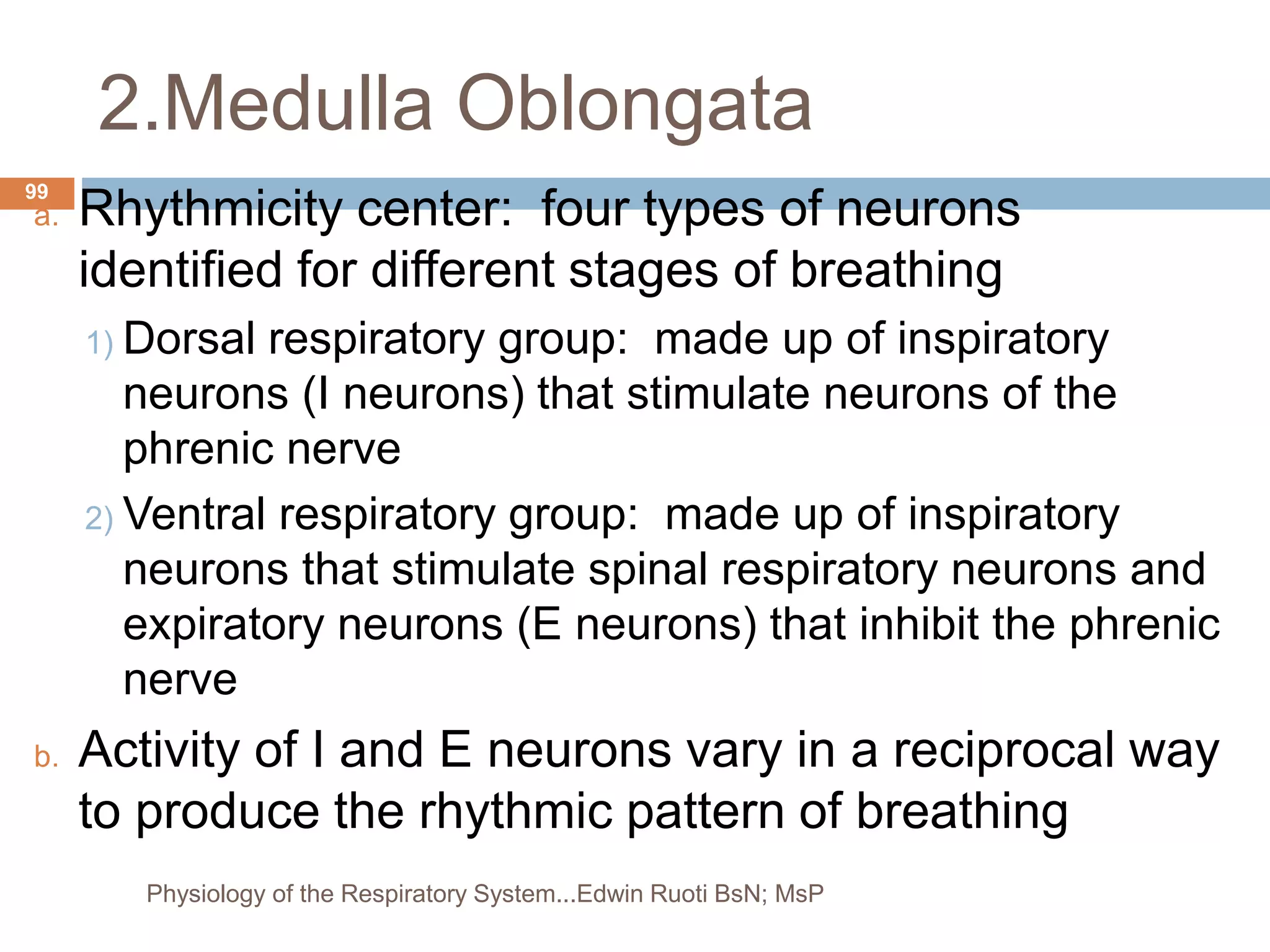 2.Medulla Oblongata
a. Rhythmicity center: four types of neurons
identified for different stages of breathing
1) Dorsal respiratory group: made up of inspiratory
neurons (I neurons) that stimulate neurons of the
phrenic nerve
2) Ventral respiratory group: made up of inspiratory
neurons that stimulate spinal respiratory neurons and
expiratory neurons (E neurons) that inhibit the phrenic
nerve
b. Activity of I and E neurons vary in a reciprocal way
to produce the rhythmic pattern of breathing
99
Physiology of the Respiratory System...Edwin Ruoti BsN; MsP
 