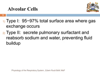 Alveolar Cells
10
1) Type I: 95−97% total surface area where gas
exchange occurs
2) Type II: secrete pulmonary surfactant and
reabsorb sodium and water, preventing fluid
buildup
Physiology of the Respiratory System...Edwin Ruoti BsN; MsP
 