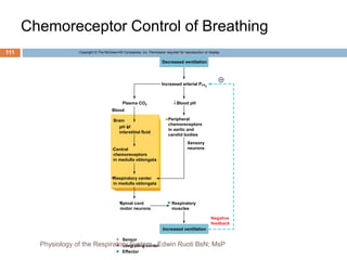 Chemoreceptor Control of Breathing
Copyright © The McGraw-Hill Companies, Inc. Permission required for reproduction or display.
–
Decreased ventilation
Increased arterial Pco2
Blood pH
Peripheral
chemoreceptors
in aortic and
carotid bodies
Sensory
neurons
Plasma CO2
Blood
Brain
pH of
interstitial fluid
Central
chemoreceptors
in medulla oblongata
Respiratory center
in medulla oblongata
Spinal cord
motor neurons
Respiratory
muscles
Increased ventilation
Negative
feedback
Sensor
Integrating center
Effector
111
Physiology of the Respiratory System...Edwin Ruoti BsN; MsP
 
