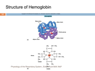 Structure of Hemoglobin
Copyright © The McGraw-Hill Companies, Inc. Permission required for reproduction or display.
C C
C
C
C C
C C
C C
C
N
N
N
C
C
C C
C
N
Hemoglobin
Beta chain
Heme group
Alpha chain
Alpha chain
Beta chain
CH2
CH
CH3
CH
CH3
HC
CH3
CH2
CH2
COOH
HC
Fe
CH
CH
CH3
CH2
CH2
COOH
Heme
(b)
(a)
CH2
121
Physiology of the Respiratory System...Edwin Ruoti BsN; MsP
 