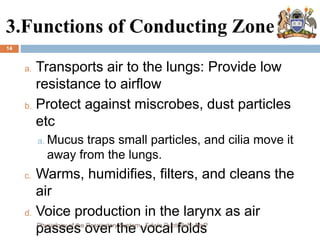 3.Functions of Conducting Zone
a. Transports air to the lungs: Provide low
resistance to airflow
b. Protect against miscrobes, dust particles
etc
a. Mucus traps small particles, and cilia move it
away from the lungs.
c. Warms, humidifies, filters, and cleans the
air
d. Voice production in the larynx as air
passes over the vocal folds
14
Physiology of the Respiratory System...Edwin Ruoti BsN; MsP
 