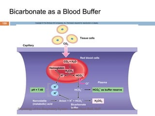 Bicarbonate as a Blood Buffer
Copyright © The McGraw-Hill Companies, Inc. Permission required for reproduction or display.
H
+
H
+
HCO3
–
as buffer reserve
HCO3
–
Tissue cells
Capillary
CO2
Red blood cells
Plasma
H2CO3
Bicarbonate
buffer
Anion + H
+
+ HCO3
–
Nonvolatile
(metabolic) acid
pH = 7.40
Cl
–
Hemoglobin
HCO3
–
H
+
H2CO3
CO2 + H2O
159
Physiology of the Respiratory System...Edwin Ruoti BsN; MsP
 