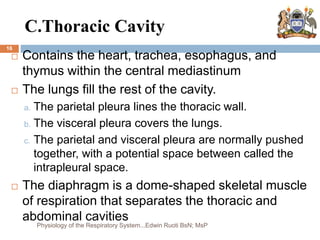 C.Thoracic Cavity
 Contains the heart, trachea, esophagus, and
thymus within the central mediastinum
 The lungs fill the rest of the cavity.
a. The parietal pleura lines the thoracic wall.
b. The visceral pleura covers the lungs.
c. The parietal and visceral pleura are normally pushed
together, with a potential space between called the
intrapleural space.
 The diaphragm is a dome-shaped skeletal muscle
of respiration that separates the thoracic and
abdominal cavities
16
Physiology of the Respiratory System...Edwin Ruoti BsN; MsP
 