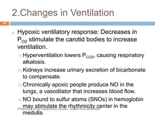 2.Changes in Ventilation
a. Hypoxic ventilatory response: Decreases in
PO2 stimulate the carotid bodies to increase
ventilation.
1) Hyperventilation lowers PCO2, causing respiratory
alkalosis.
2) Kidneys increase urinary excretion of bicarbonate
to compensate.
3) Chronically apoxic people produce NO in the
lungs, a vasodilator that increases blood flow.
4) NO bound to sulfur atoms (SNOs) in hemoglobin
may stimulate the rhythmicity center in the
medulla.
181
Physiology of the Respiratory System...Edwin Ruoti BsN; MsP
 