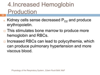 4.Increased Hemoglobin
Production
a. Kidney cells sense decreased PO2 and produce
erythropoietin.
 This stimulates bone marrow to produce more
hemoglobin and RBCs.
 Increased RBCs can lead to polycythemia, which
can produce pulmonary hypertension and more
viscous blood.
183
Physiology of the Respiratory System...Edwin Ruoti BsN; MsP
 