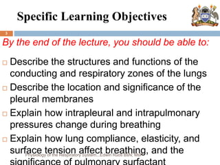 Specific Learning Objectives
3
By the end of the lecture, you should be able to:
 Describe the structures and functions of the
conducting and respiratory zones of the lungs
 Describe the location and significance of the
pleural membranes
 Explain how intrapleural and intrapulmonary
pressures change during breathing
 Explain how lung compliance, elasticity, and
surface tension affect breathing, and the
Physiology of the Respiratory System...Edwin Ruoti BsN; MsP
 