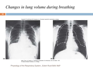 Changes in lung volume during breathing
Copyright © The McGraw-Hill Companies, Inc. Permission required for reproduction or display.
(b)
(a)
(both): From J.H. Comroe, Jr., Physiology of Respiration: An Introductory Text, 2nd editon, 1974
© Yearbook Medical Publishers, Inc. Chicago
44
Physiology of the Respiratory System...Edwin Ruoti BsN; MsP
 