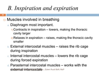 B. Inspiration and expiration
 Muscles involved in breathing
a. Diaphragm most important.
1) Contracts in inspiration – lowers, making the thoracic
cavity larger
2) Relaxes in expiration – raises, making the thoracic cavity
smaller
b. External intercostal muscles – raises the rib cage
during inspiration
c. Internal intercostal muscles – lowers the rib cage
during forced expiration
d. Parasternal intercostal muscles – works with the
external intercostals
45
Physiology of the Respiratory System...Edwin Ruoti BsN; MsP
 