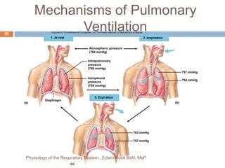 Mechanisms of Pulmonary
Ventilation
Copyright © The McGraw-Hill Companies, Inc. Permission required for reproduction or display.
(a)
1. At rest 2. Inspiration
757 mmHg
754 mmHg
(b)
763 mmHg
757 mmHg
(c)
Diaphragm
3. Expiration
Atmospheric pressure
(760 mmHg)
Intrapulmonary
pressure
(760 mmHg)
Intrapleural
pressure
(756 mmHg)
50
Physiology of the Respiratory System...Edwin Ruoti BsN; MsP
 