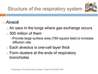 Structure of the respiratory system
7
 Alveoli
a. Air sacs in the lungs where gas exchange occurs
b. 300 million of them
1)Provide large surface area (760 square feet) to increase
diffusion rate
c. Each alveolus is one-cell layer thick
d. Form clusters at the ends of respiratory
bronchioles
Physiology of the Respiratory System...Edwin Ruoti BsN; MsP
 