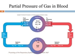Partial Pressure of Gas in Blood
Copyright © The McGraw-Hill Companies, Inc. Permission required for reproduction or display.
Po2
O2
Right
atrium
and
ventricle
To
pulmonary
vein
Systemic
arteries
Body
cells
From
pulmonary
artery
Systemic
veins
Capillaries
CO2
O2
Pco2
= 105
= 40
CO2
Pco2
Po2= 40
= 46
Alveoli
Po2
Pco2
= 100
= 40
Po2 Pco2
= 40 = 46 Po2 Pco2
= 100 = 40
Left
atrium
and
ventricle
84
Physiology of the Respiratory System...Edwin Ruoti BsN; MsP
 