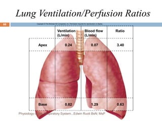 Lung Ventilation/Perfusion Ratios
Copyright © The McGraw-Hill Companies, Inc. Permission required for reproduction or display.
Ratio
Blood flow
(L/min)
Ventilation
(L/min)
3.40
0.07
0.24
Apex
Base 0.63
1.29
0.82
88
Physiology of the Respiratory System...Edwin Ruoti BsN; MsP
 